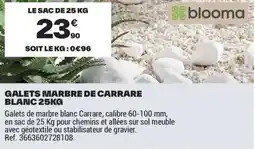 Brico Dépôt GALETS MARBRE DE CARRARE BLANC offre