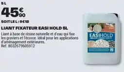 Brico Dépôt LIANT FIXATEUR EASI HOLD offre