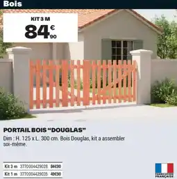 Brico Dépôt PORTAIL BOIS DOUGLAS offre