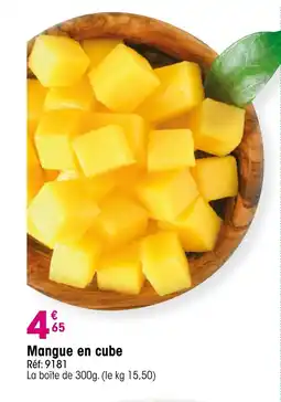 Croque Gel Mangue en cube offre