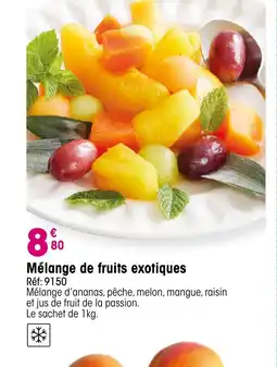 Croque Gel Mélange de fruits exotiques offre