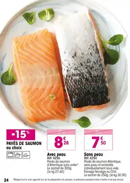 Croque Gel Pavés de saumon offre