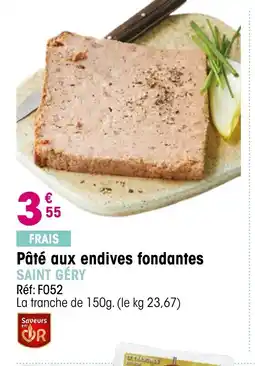 Croque Gel SAINT GÉRY Pâté aux endives fondantes offre
