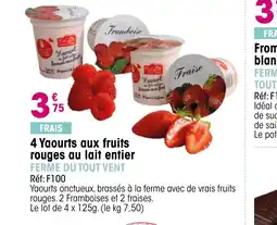 Croque Gel FERME DU TOUT VENT 4 Yaourts aux fruits rouges au lait entier offre