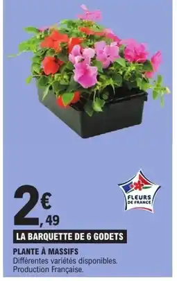 E.Leclerc Plante à massifs offre