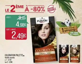 Match Coloration Palette offre
