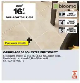 Brico Dépôt Carrelage de sol exterieur volfy offre