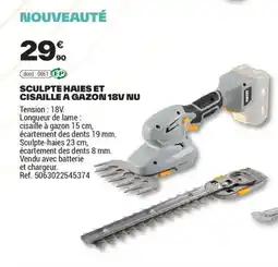 Brico Dépôt Sculpte haies et cisaille a gazon 18v nu offre