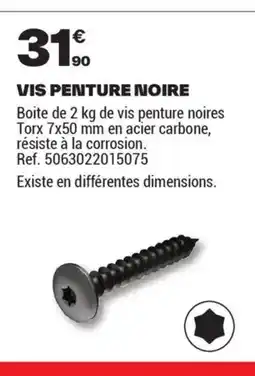 Brico Dépôt Vis penture noire offre
