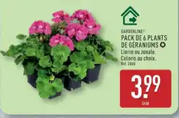 ALDI PACK DE 6 PLANTS DE GÉRANIUMS offre