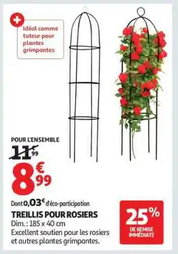 Auchan TREILLIS POUR ROSIERS offre
