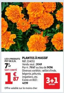 Auchan Plantes à massif offre