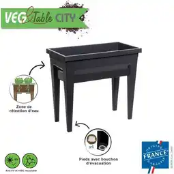Gamm vert Espace potager & serre vegetable city offre