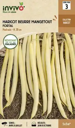 Gamm vert Invivo nous on sème sélection gamme haricot invivo nous on sème offre