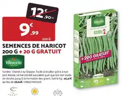 Bricomarché Semences de haricot offre
