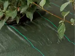 Gamm vert Toile de paillage gamm vert offre