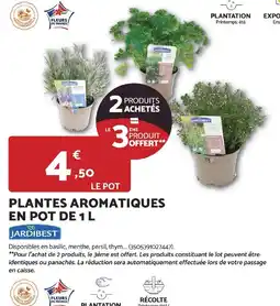 Bricomarché Plantes aromatiques en pot offre