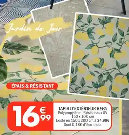 La Foir'Fouille Tapis d'extérieur kepa offre