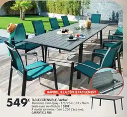 La Foir'Fouille Table extensible pavane offre