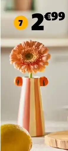 Gifi SOLIFLORE H. offre