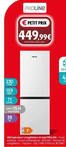 Darty Réfrigérateur congélateur en bas PROLINE offre