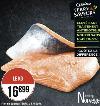 Géant Casino Terre & saveurs filet de saumon offre