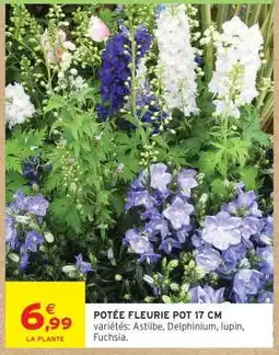 Intermarché POTÉE FLEURIE POT 17 CM offre