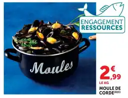 Hyper U Moule de corde offre