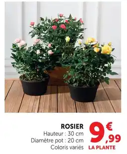 Hyper U Rosier offre