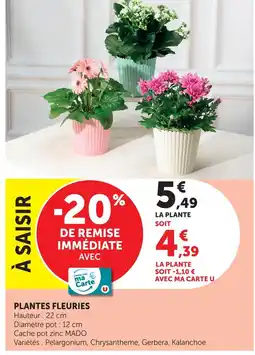 Hyper U Plantes fleuries offre