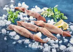 Auchan Sans marque encornet rouge offre