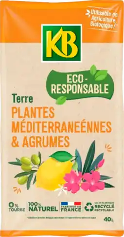 Auchan Supermarché Kb terreau 40 l offre