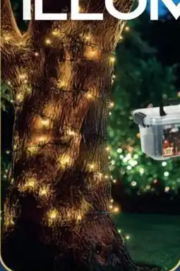 La Foir'Fouille Guirlande led extérieure offre