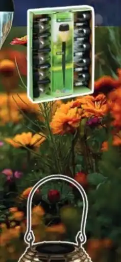 La Foir'Fouille Lot de lampes solaires offre