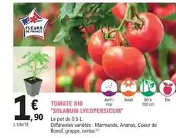 E.Leclerc Jardi Avril - tomate bio offre