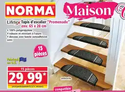 Norma LIFETEX Tapis d'escalier Promenade offre