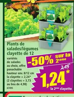 Norma Plants de salades/légumes clayette de 12 offre