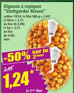 Norma Oignons à repiquer Stuttgarder Riesen offre