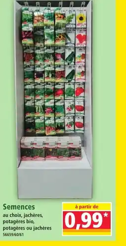 Norma Semences offre