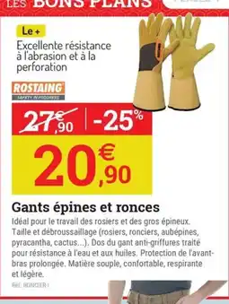 Espace emeraude ROSTAING Gants épines et ronces offre