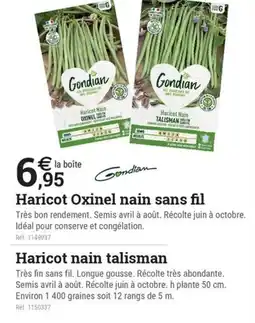 Espace emeraude Haricot Oxinel nain sans fil offre