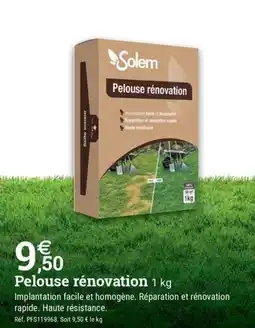 Espace emeraude Pelouse rénovation offre