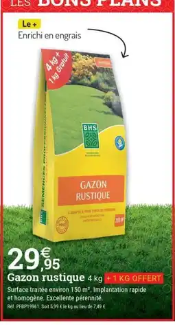 Espace emeraude Gazon rustique offre