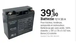 Espace emeraude Batterie 12 V 20 A offre