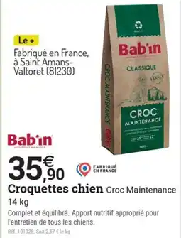 Espace emeraude BABIN Croquettes chien Croc Maintenance offre