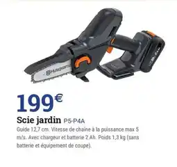 Espace emeraude Scie jardin P5-P4A offre