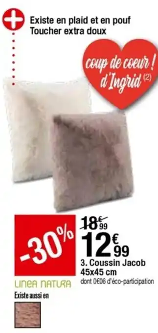 BUT Coussin jacob offre
