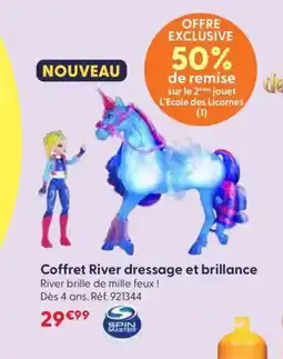 JouéClub SPIN MASTER Coffret River dressage et brillance offre