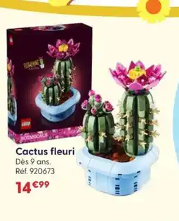 JouéClub Cactus fleuri offre