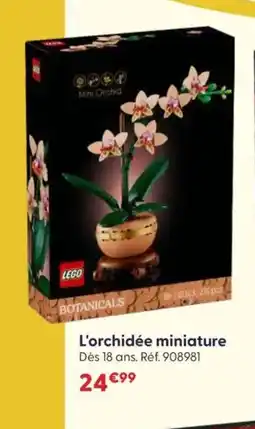 JouéClub L'orchidée miniature offre